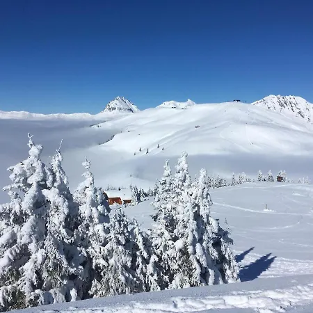 In Near Slopes Tatil Evi