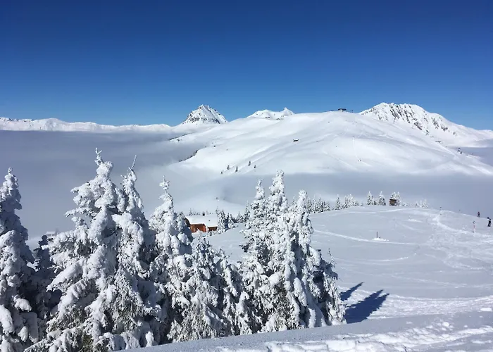 In Near Slopes Feriehus Mittersill